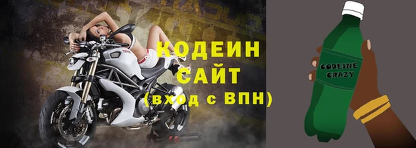 гашик Алзамай