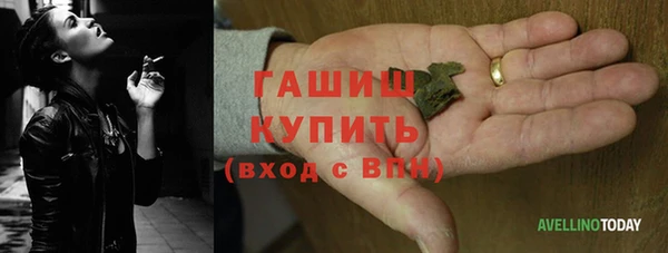 сатива Новокубанск