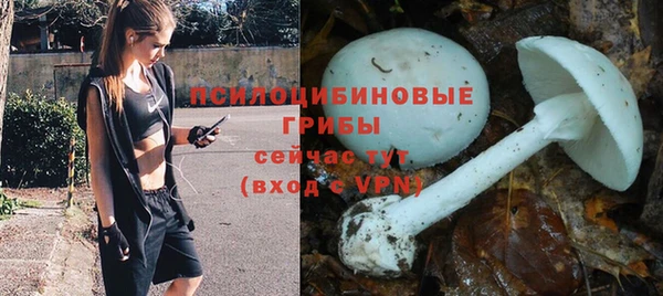 кокаин Алексеевка