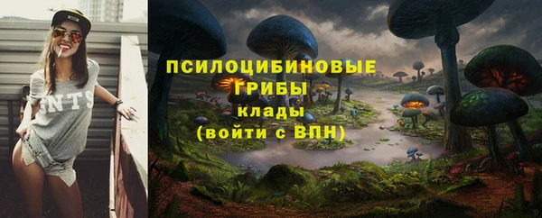 кокаин Алексеевка