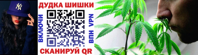 Конопля конопля Асино